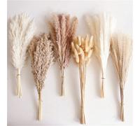 110 pièces Bouquet d'herbe de Pampas séchée, décoration de table Boho, fleurs séchées queue de lapin, pompons bruns, herbe de Pampas blanche pour mariage, maison, fête rustique, décoration de baby sho
