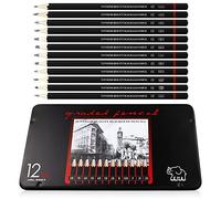 12 Crayons Dessin Professionnel, LAMXD Crayon Papier 8B 7B 6B 5B 4B 3B 2B B HB F H 2H Ecriture Douce Croquis Crayon Papier Dessin, Adaptée aux Enfants, Adultes et Artistes Débutants