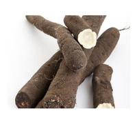 12 Graines De Salsifis Énorme
