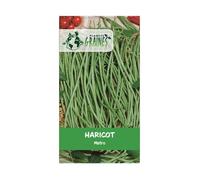 12 graines haricot long yard -metro - Yardlong beans - Haricots kilomètre ou haricots mètres
