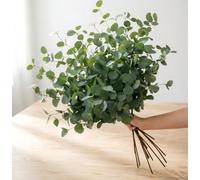 12 Pcs Eucalyptus Artificiel en Tige 68 cm Plante Artificielle Longue