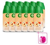 12 recharges pour diffuseur automatique Air Wick Freshmatic, parfum pêche blanche, 250 ml, lot économique, 12 pièces