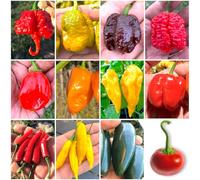 120 Graines de Piment Chili en 12 Variétés des plus FORTES et SAVOUREUSES du Monde + Guide de Culture : CAROLINA REAPER, SCORPION, JIGSAW, BORG 9, HABANERO, FATALII, ACRATA, JALAPENO, SATANA