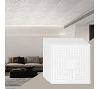 12x Panneaux de plafond PVC 605x605mm Blanc - Motif Echo - Carreaux de plafond pour les pièces à vivre - Idéal pour les cuisines et les bureaux