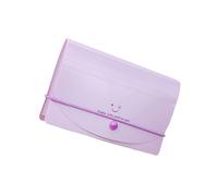 13 poches, organiseur extensible de reçus, organiseur de factures étanche en plastique, 17,8 x 11,4 cm, pour la gestion de factures, documents, portable