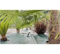 130g/m2 Toile Bache de paillage tissée Anti-Mauvaises Herbes Largeur 5,15m Longueur 40m