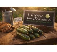 15 graines à semer - Le Grenier d'Abondance - COURGETTE Diamant Hybride F1 - Cucurbita Pepo