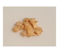 15 Graines Bio À Semer - Le Grenier D'abondance - Poivron Italian Red Marconi - Certifié Ab - Capsicum Annuum