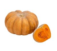 15 Graines de Courge Musquée de Provence (Cucurbita moschata) - SemiSauvage Permaculture - graines reproductibles