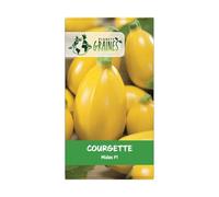 15 graines de courgette Midas F1