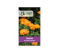 15 Graines de Souci des Champs (Calendula arvensis) - Plante Compagne Facile - Fleur Comestible et Mellifère, Orange Vif