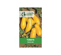 15 graines de tomate banana legs, variété jaune allongée productive, saveur douce et originale