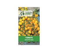 15 graines de tomate poire jaune yellow pear - variété ancienne productive et décorative - sachet de semences potagères