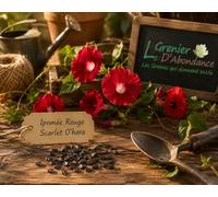 15 graines Fleurs à semer - Le Grenier d'Abondance - IPOMEE Rouge Scarlet O'hara H. 5 Mètres - Ipomoea
