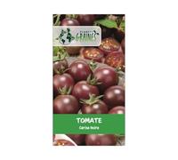15 graines tomate cerise noire black cherry fruit sucré et productif