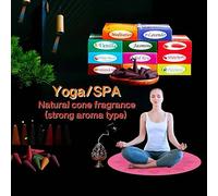 15 pièces/boîte Cônes d'encens de qualité supérieure, profitez de diverses senteurs - Eucalyptus, Sauge, Ylang-Ylang, Palo Santo, Santal, Lavande, etc. Convient pour le yoga, la méditation, l'aromathé