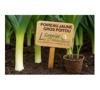 150 graines à semer - Le Grenier d'Abondance - POIREAU Jaune Gros du Poitou - Allium porrum