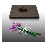 150 Graines Aromatiques À Semer - Le Grenier D'abondance - Ciboulette - Allium Schoenoprasum