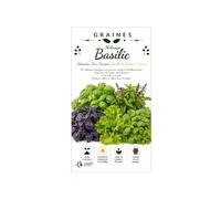 150 Graines Basilic en Mélange - Thaï, Citron, Pourpre, Genovese & Feuille de Laitue