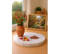 150 Graines Bignone du Chili - Eccremocarpus scaber - Chilean Glory Vine - Plante grimpante florale - Fleur jardin - 477