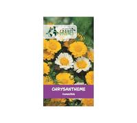 150 Graines de Chrysanthème Comestible (Shungiku) - Feuilles et Fleurs Tendres, Saveur Poivrée - Idéal en Salade et Wok - Facile à Cultiver