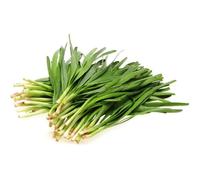 150 Graines de Ciboule de Chine - plante aromatique - légumes potager méthode BIO