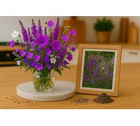 150 Graines de Fleurs Sauvages - Mélange de Teintes Pourpres Violet - 14 Variétés - Fleur Jardin Prairie - 380