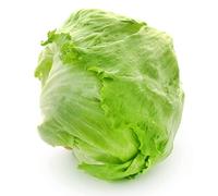 150 Graines de Laitue Iceberg - salade potagère - semences paysannes reproductibles - SemiSauvage