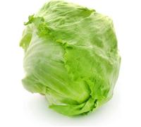 150 Graines de Laitue Iceberg - SemiSauvage Permaculture