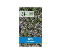 150 Graines de Thym d'Été - Variété Aromatique et Parfumé - Idéal Cuisine, Mellifère et très Résistant à la Sécheresse