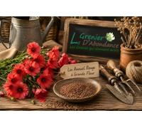150 graines Fleurs à semer - Le Grenier d'Abondance - LIN Annuel rouge à grande fleur - Linum Grandiflorum