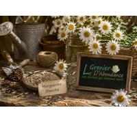 150 graines Fleurs à semer - Le Grenier d'Abondance - MARGUERITE Blanche - Chrysanthemum Leucanthemum