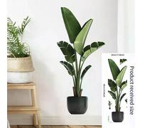 16 grands stickers muraux en PVC motif plantes tropicales vertes, feuilles de palmier, pour salon, avec affiche, disque vinyle, décoration d'intérieur~01062