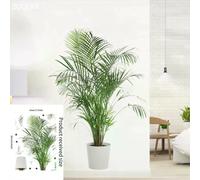 16 grands stickers muraux en PVC motif plantes tropicales vertes, feuilles de palmier, pour salon, avec affiche, disque vinyle, décoration d'intérieur~01066