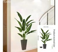 16 grands stickers muraux en PVC motif plantes tropicales vertes, feuilles de palmier, pour salon, avec affiche, disque vinyle, décoration d'intérieur~01056