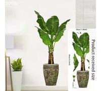 16 grands stickers muraux en PVC motif plantes tropicales vertes, feuilles de palmier, pour salon, avec affiche, disque vinyle, décoration d'intérieur~01063