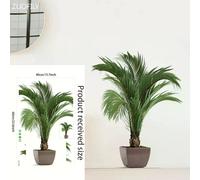 16 grands stickers muraux en PVC motif plantes tropicales vertes, feuilles de palmier, pour salon, avec affiche, disque vinyle, décoration d'intérieur~01058