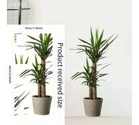 16 grands stickers muraux en PVC motif plantes tropicales vertes, feuilles de palmier, pour salon, avec affiche, disque vinyle, décoration d'intérieur~01060