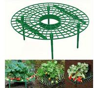 16 pièces Set de support de plante de fraise, 8-en-1 combinaison avec 4 pieds de support, pot de plantation de fraise de haute qualité, cage de cadre de croissance pour garder les baies propres et emp