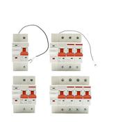 1P 2P 3P 4P Circuit Breaker Timer Voice Remote Control Smart Life Automatic Intelligent Interruptor Switch NWPNLXEA(2P,16a)