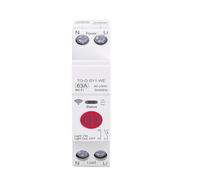 1P + N 63A 110V 220V interrupteur compteur d'énergie mesure disjoncteur minuterie relais Protection de la maison