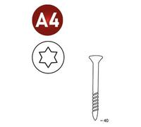 2 000 Vis Galvanisées Torx 16° (Tx) (Scrail) - 25/28x40 mm - D-Work