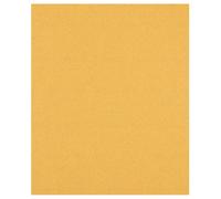 2 608 900 960 Feuille abrasive 230×280 mm G60 rectangulaire