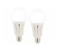 : 2 ampoules LED E27 High Power 23 W - 2452 lm - Blanc lumière du jour