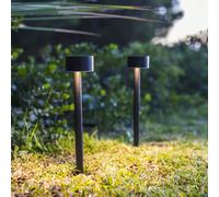 Balise solaire LUMISKY Lot de 2 balises solaires à piquer LED b