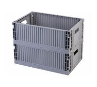 Rosenstein & Söhne 2 caisses de rangement pliables 43 x 29,5 x 16 cm