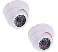 2 fausses caméras de vidéosurveillance dôme BW, BWDUMMYDOMEW