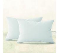 2 oreillers garnissage - 30 x 50 cm