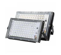 2 Pcs/lot LED Projecteur Lampadaire 50 W 100 Étanche Paysage Éclairage IP65 Garage de jardin(Cold White,50W)