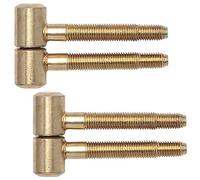 2 Pièces - Charnières de porte Portes intérieures Rubans de rénovation 2 pièces pour portes en bois renforcées | Gr. ø 16 mm | Métal brassed | Capacité jusqu'à 40 kg